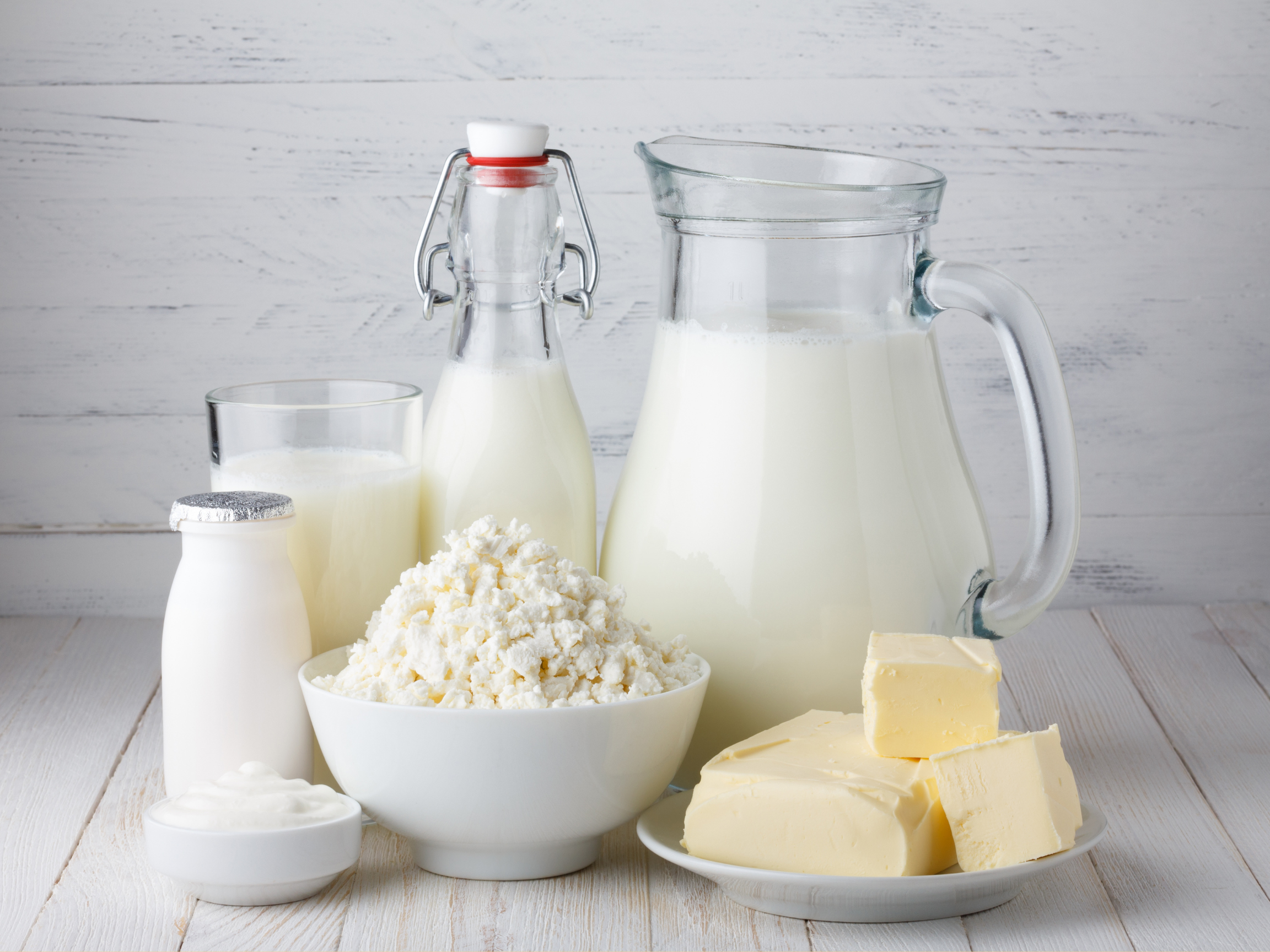 dairy