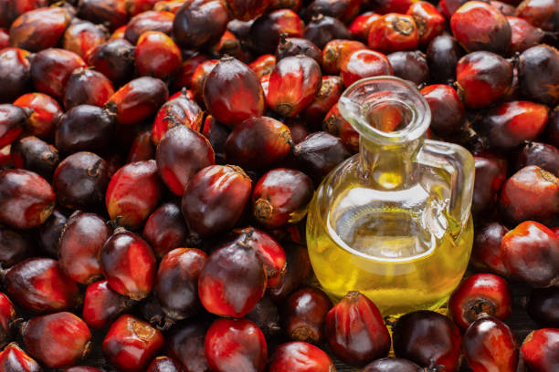 oil products