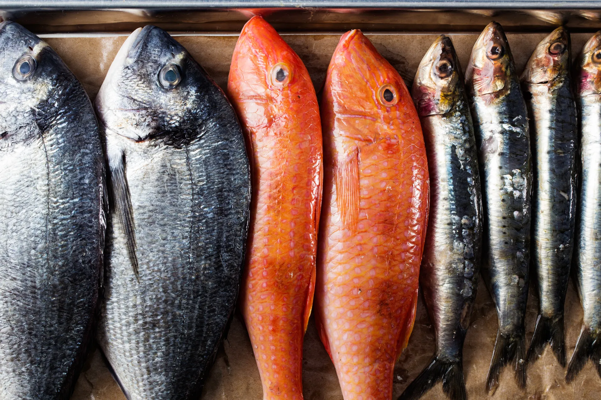 seafood