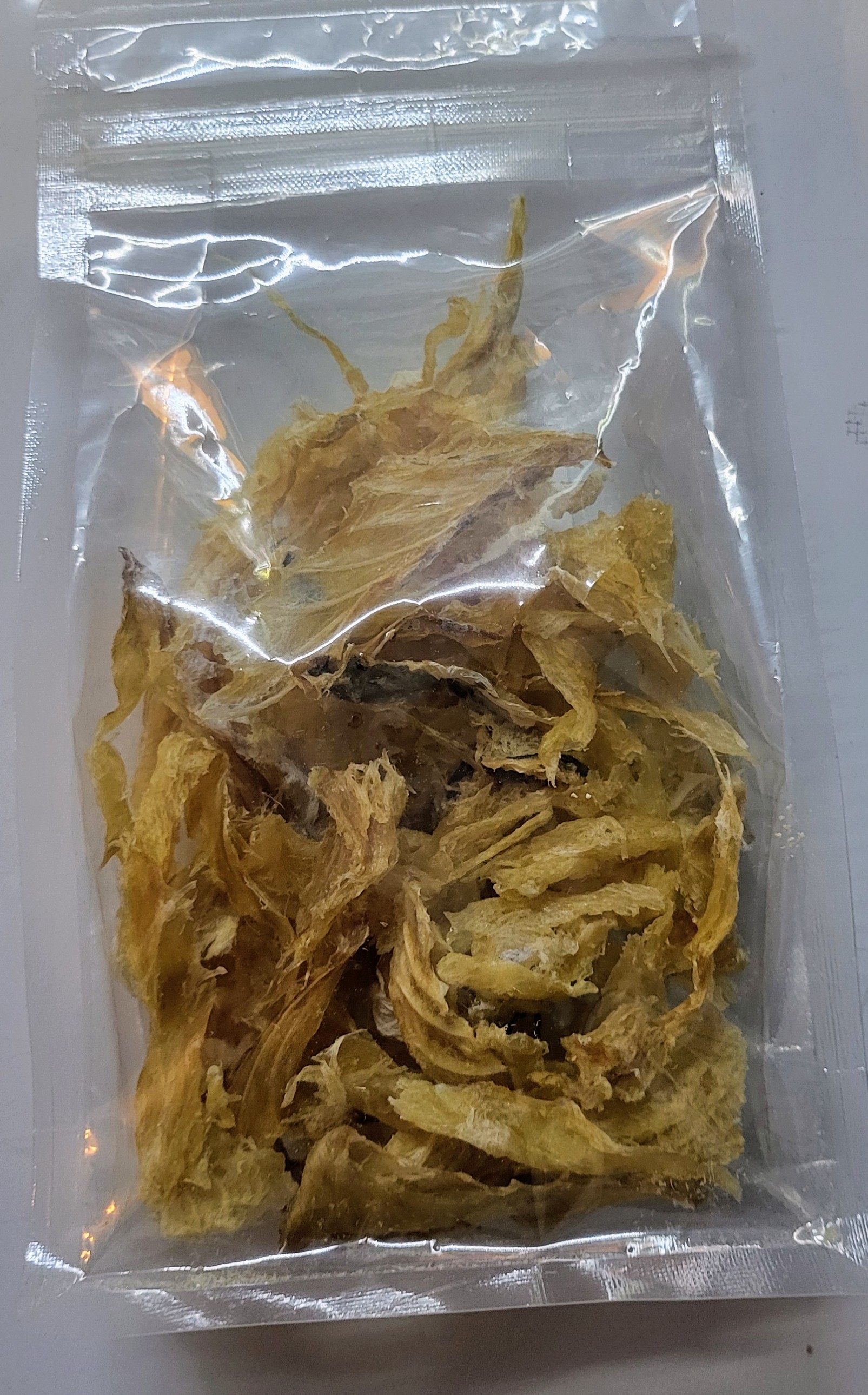 Stock fish fillet Bone-in