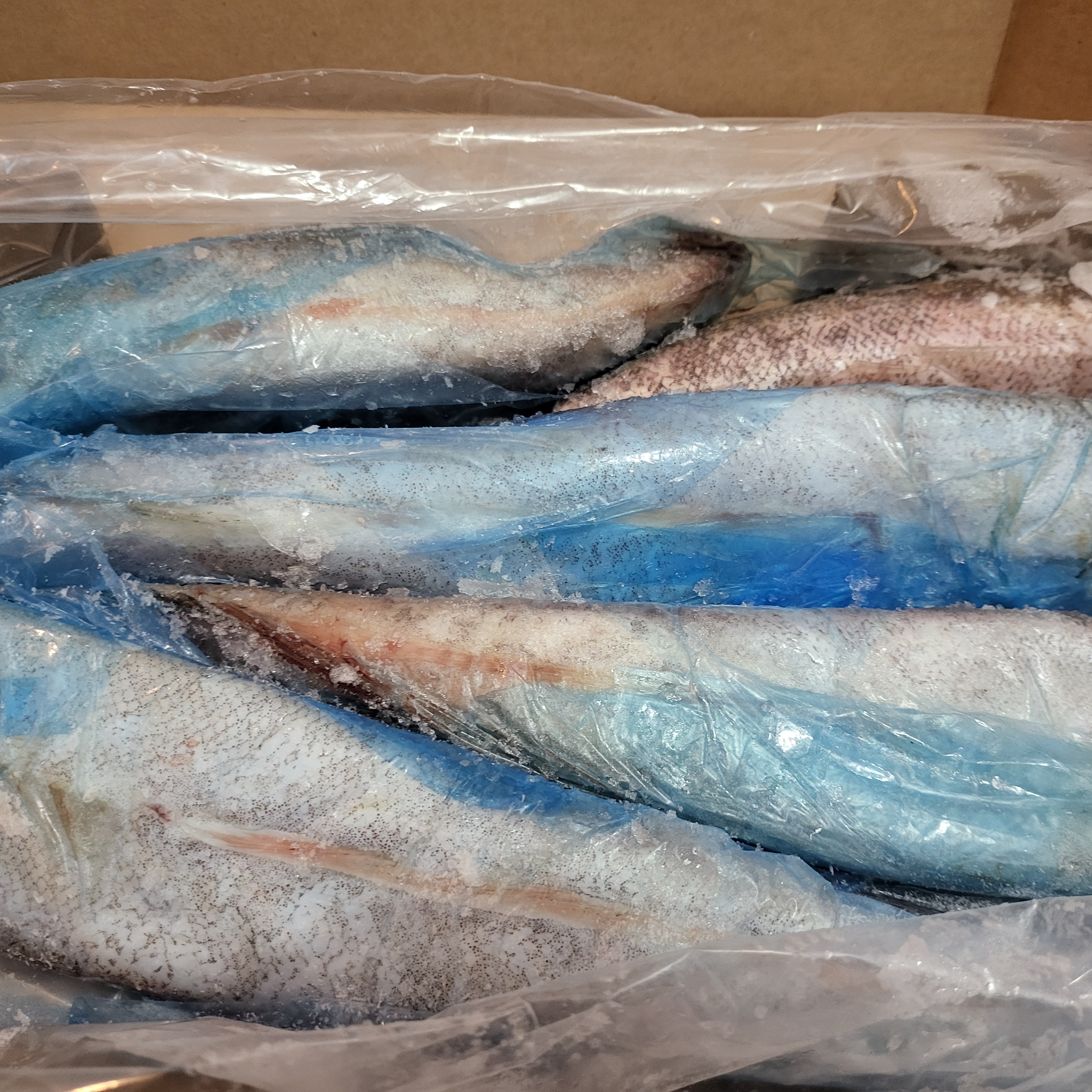 Whitening Fish frozen