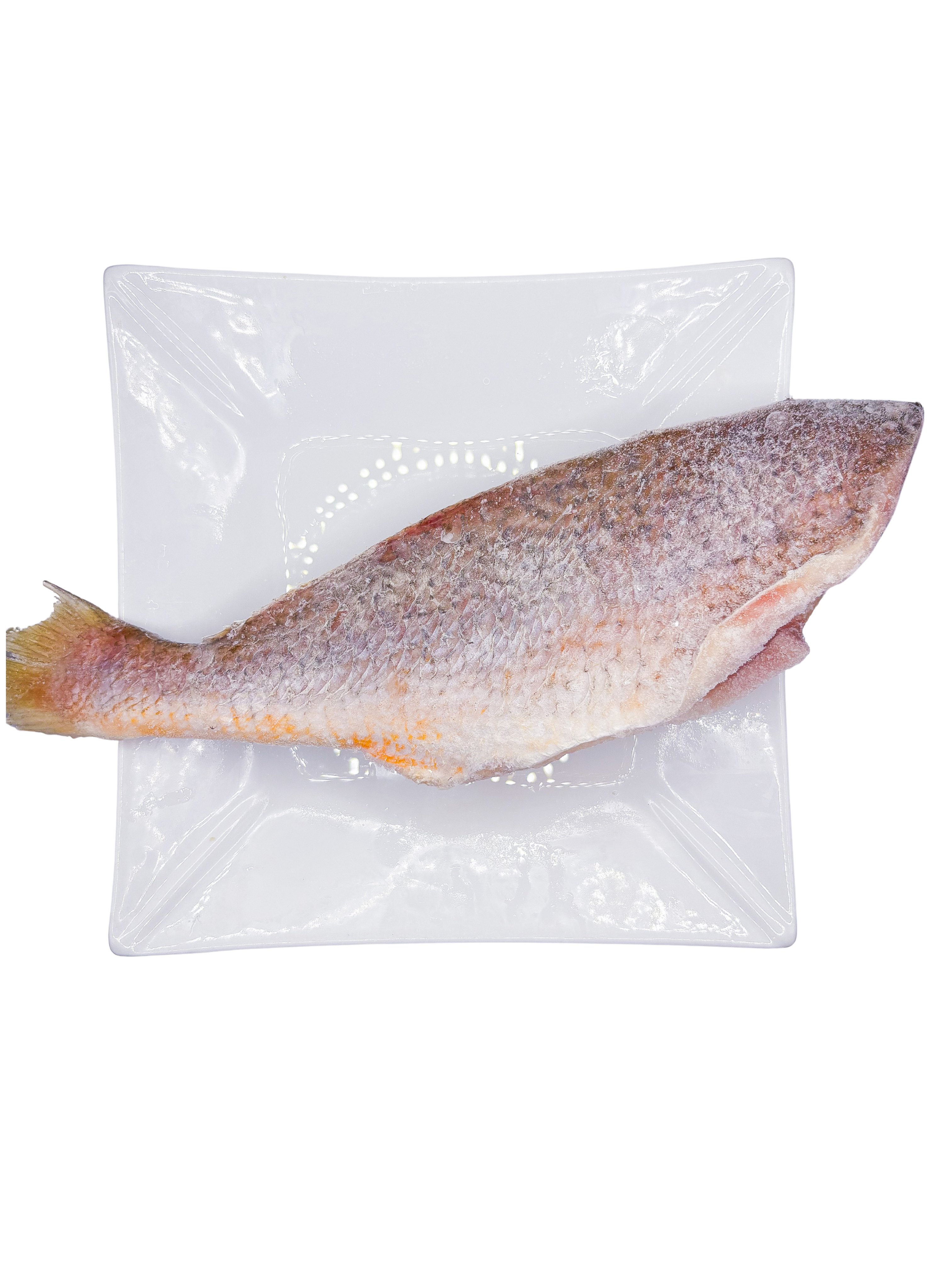 Croaker Fish 1box