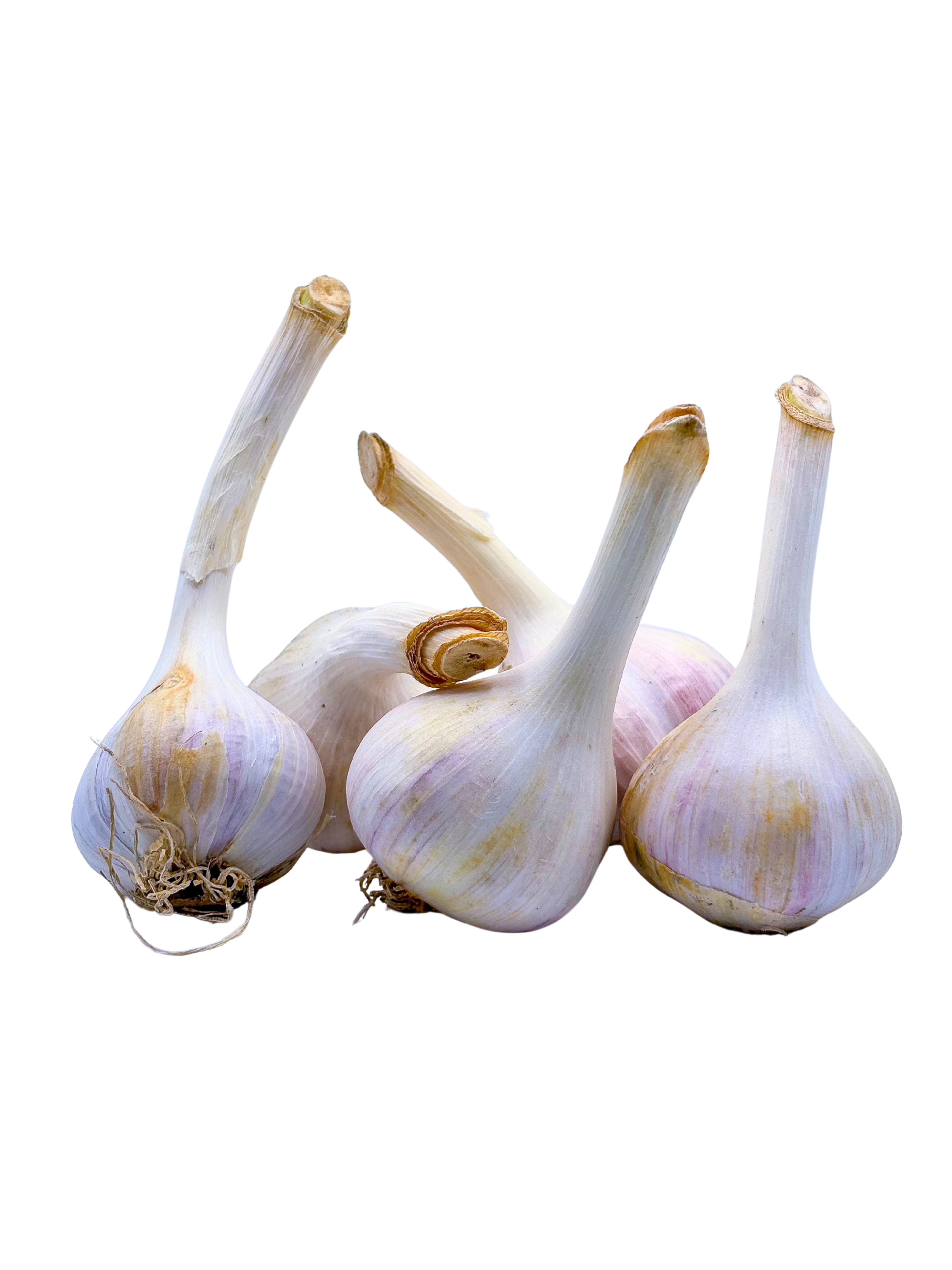 Organic Garlic 3pc