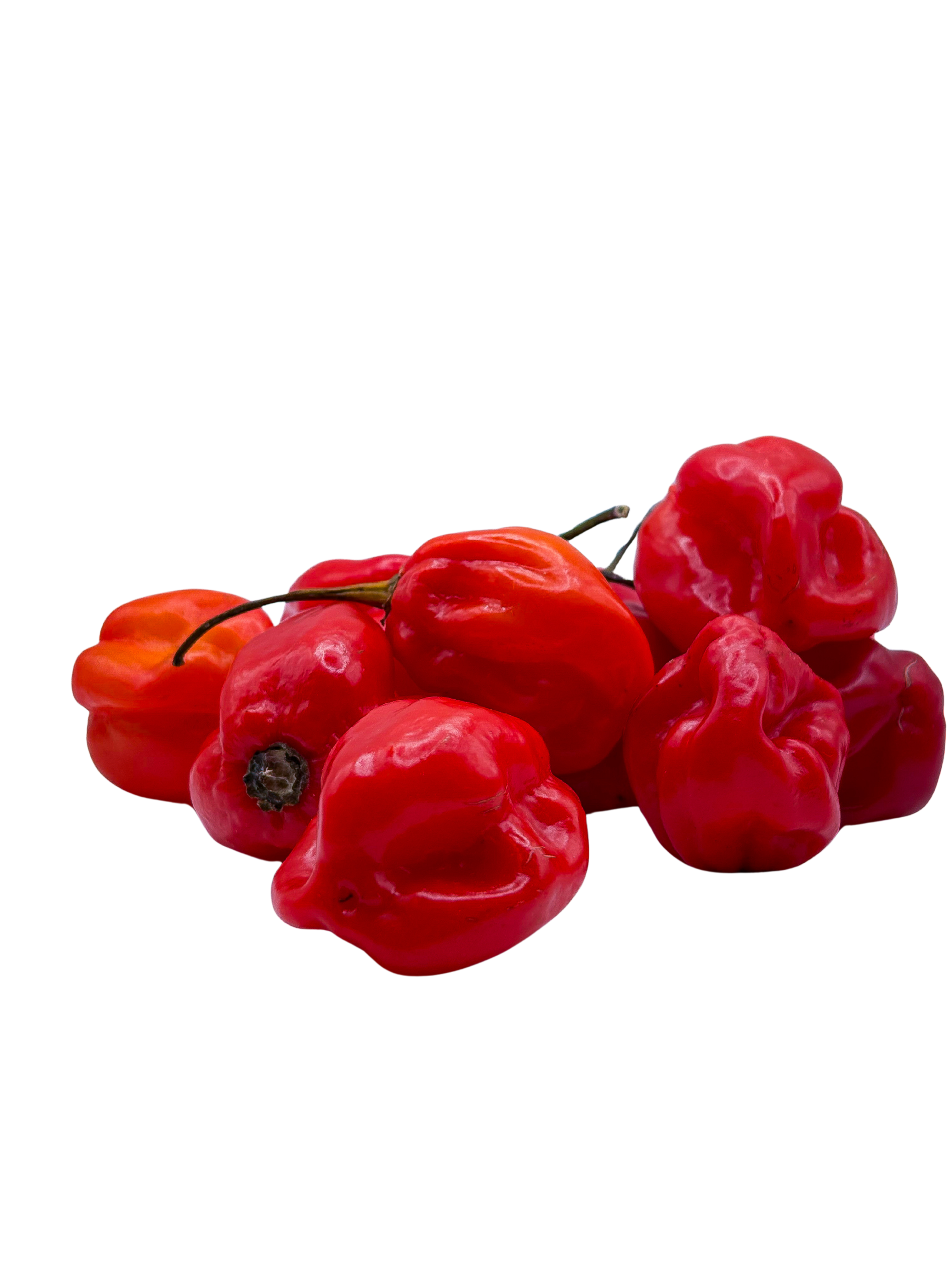 Habanero Pepper 100g
