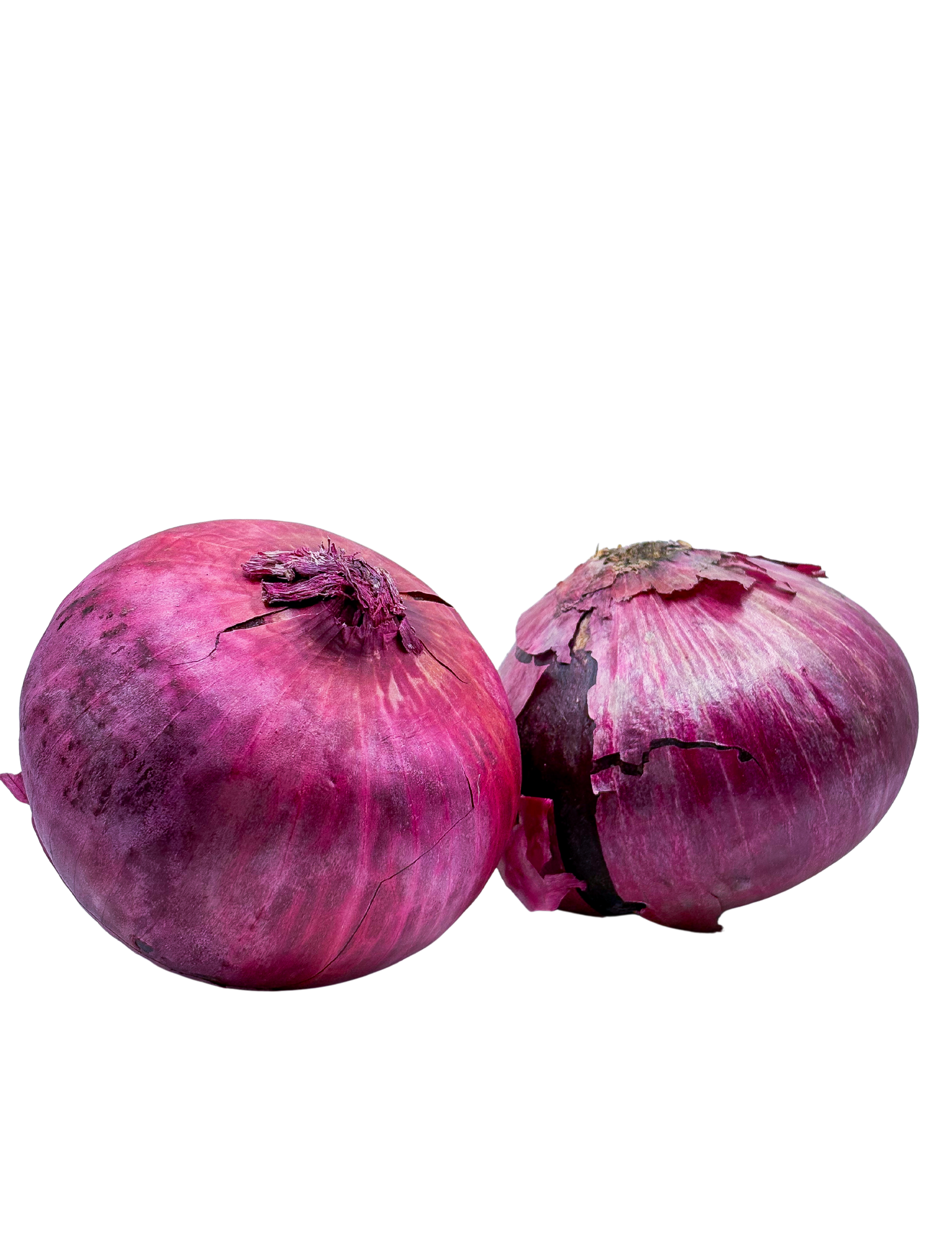 Onion 5pc