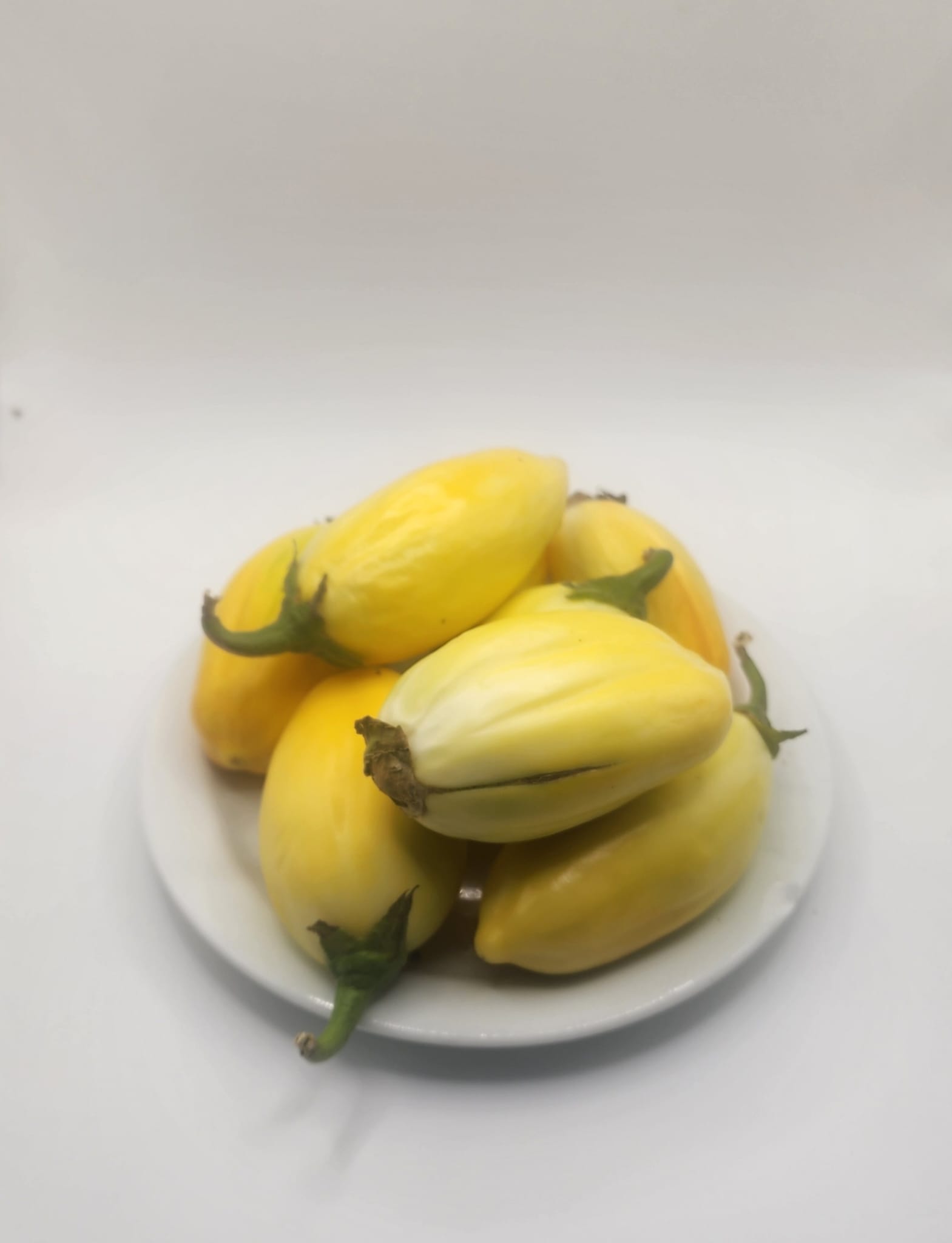 Garden Egg per bag